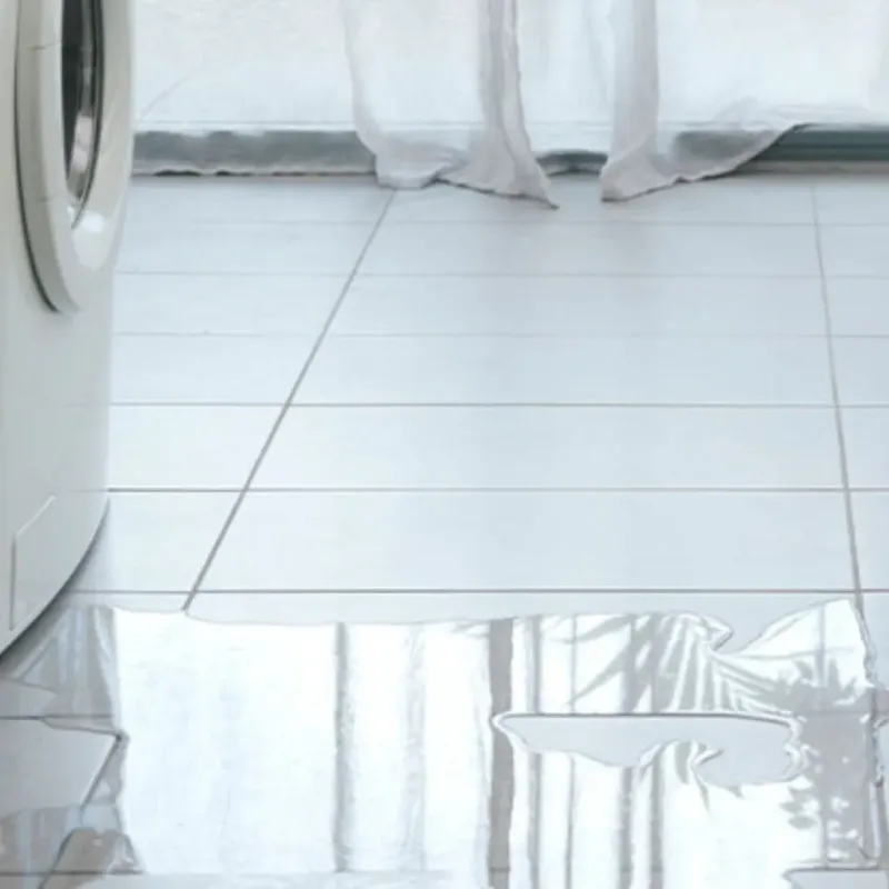 Appliance Leak Cleanup in Bartonville, TX