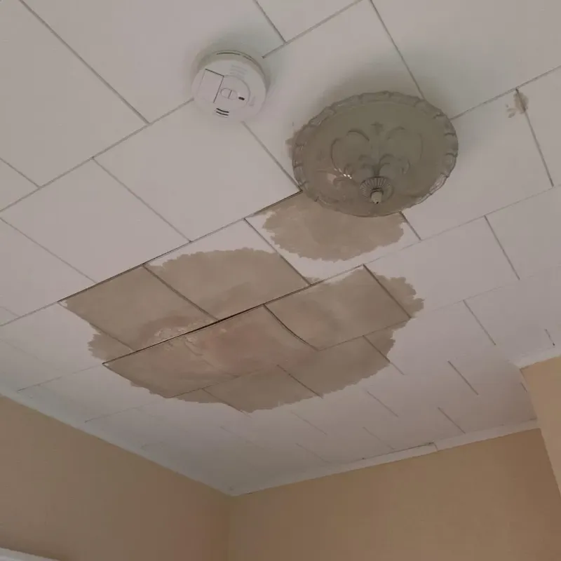 Ceiling Water Damage Repair in Bartonville, TX