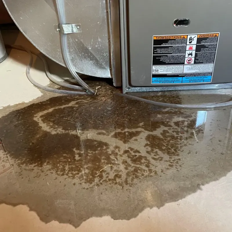 Pipe Burst and Leak Restoration in Bartonville, TX