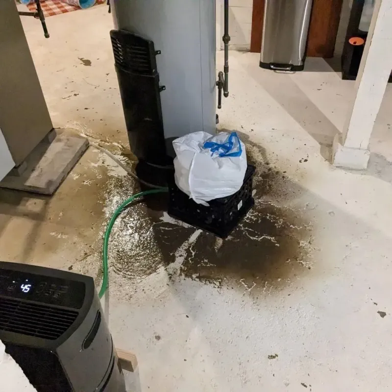 Sewage Backup Cleanup Service in Bartonville, TX